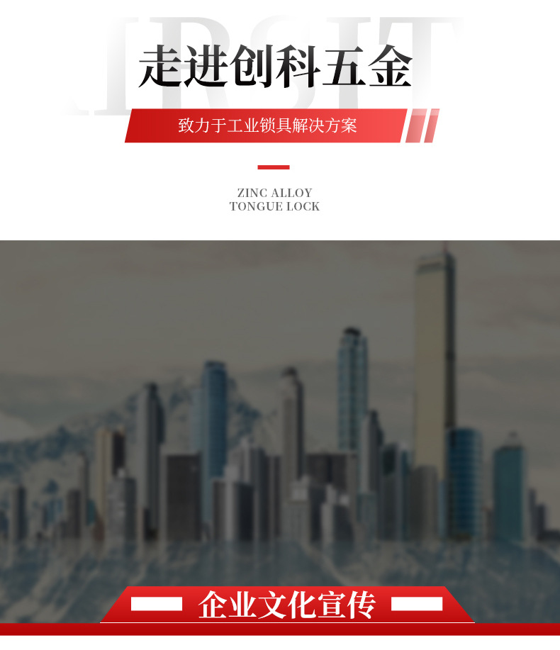 19MM轉(zhuǎn)舌鎖 CK1307B